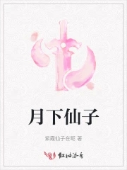 月下仙人是夜华的儿子吗